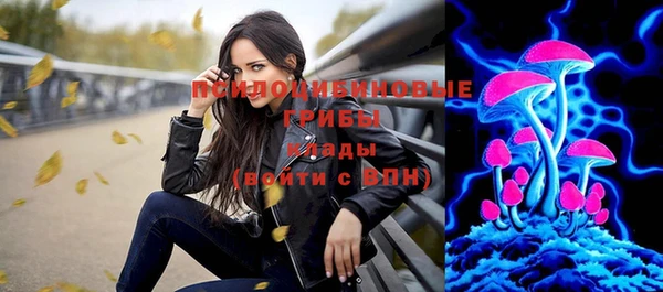индика Балабаново